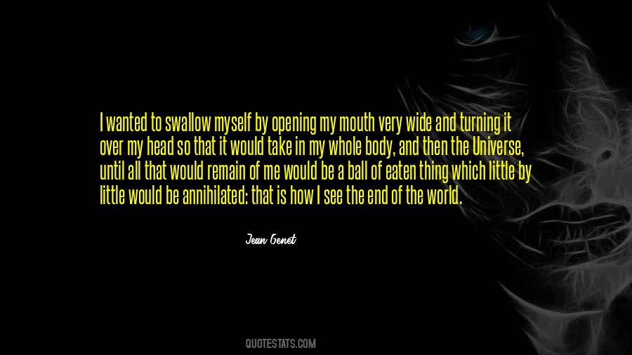 Jean Genet Quotes #1852159