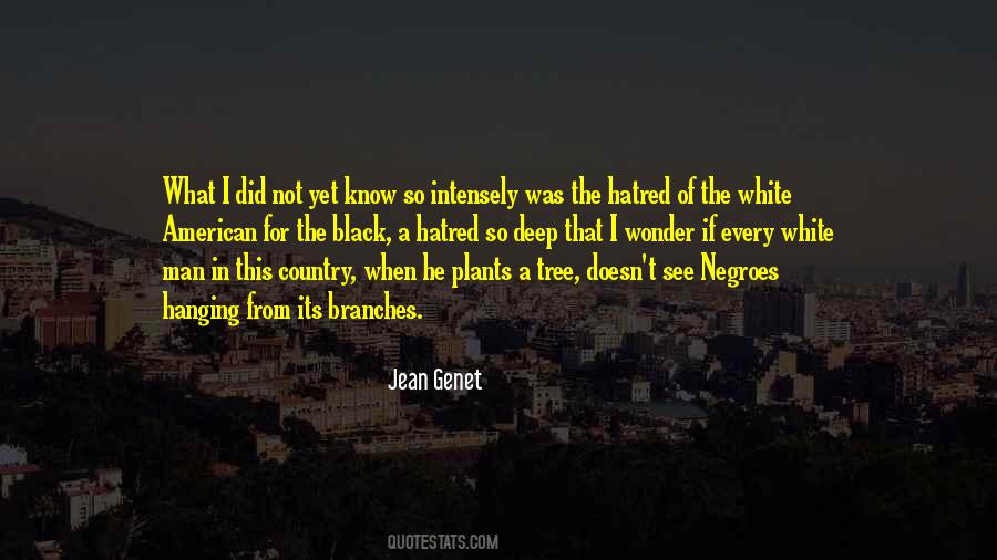 Jean Genet Quotes #749959