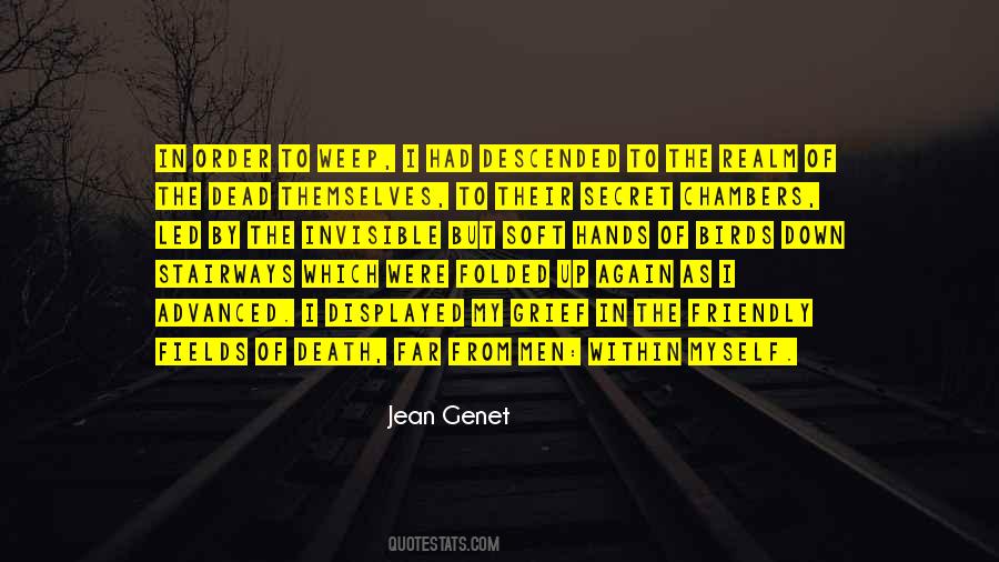 Jean Genet Quotes #83301