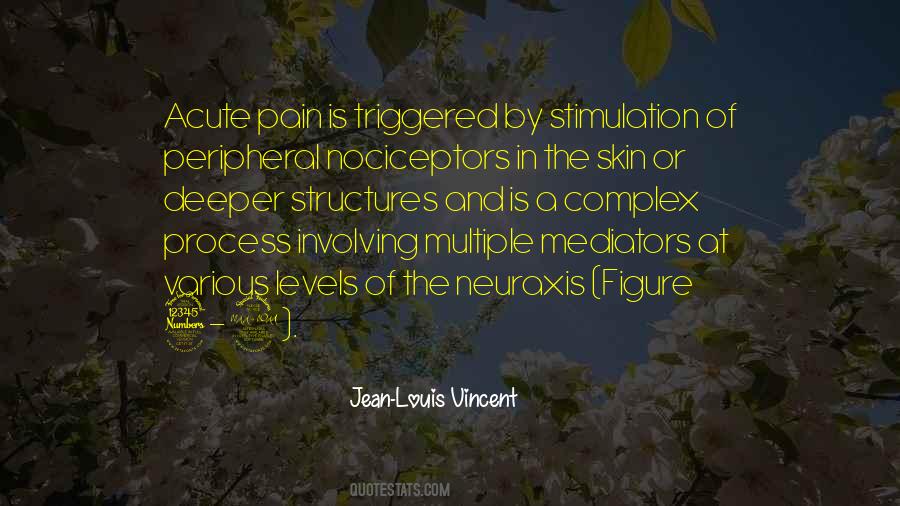 Jean-Louis Vincent Quotes #1006054 Jean-Louis Vincent Quotes #1006054