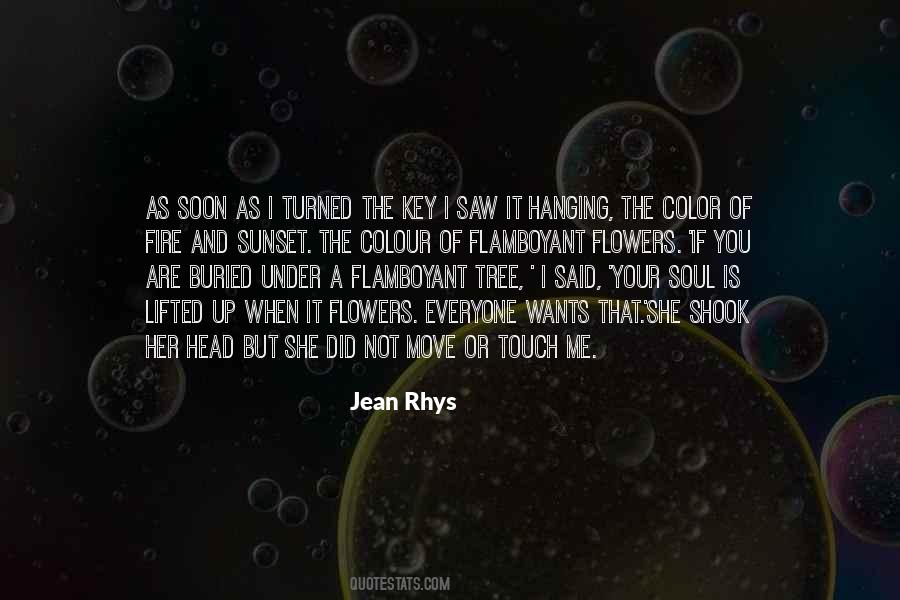 Jean Rhys Quotes #642051