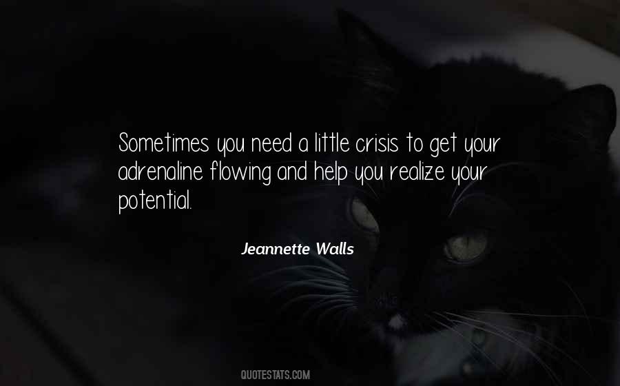 Jeannette Walls Quotes #1188854