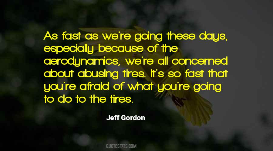 Jeff Gordon Quotes #1731547