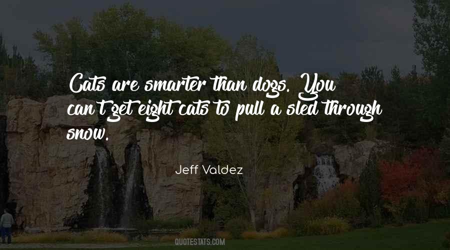 Jeff Valdez Quotes #1087490