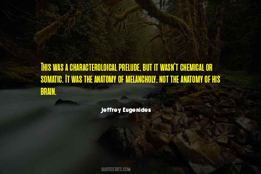 Jeffrey Eugenides Quotes #1521138