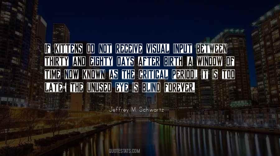 Jeffrey M. Schwartz Quotes #1090577