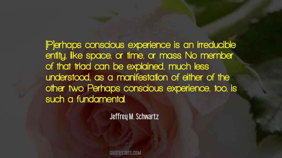 Jeffrey M. Schwartz Quotes #1319146