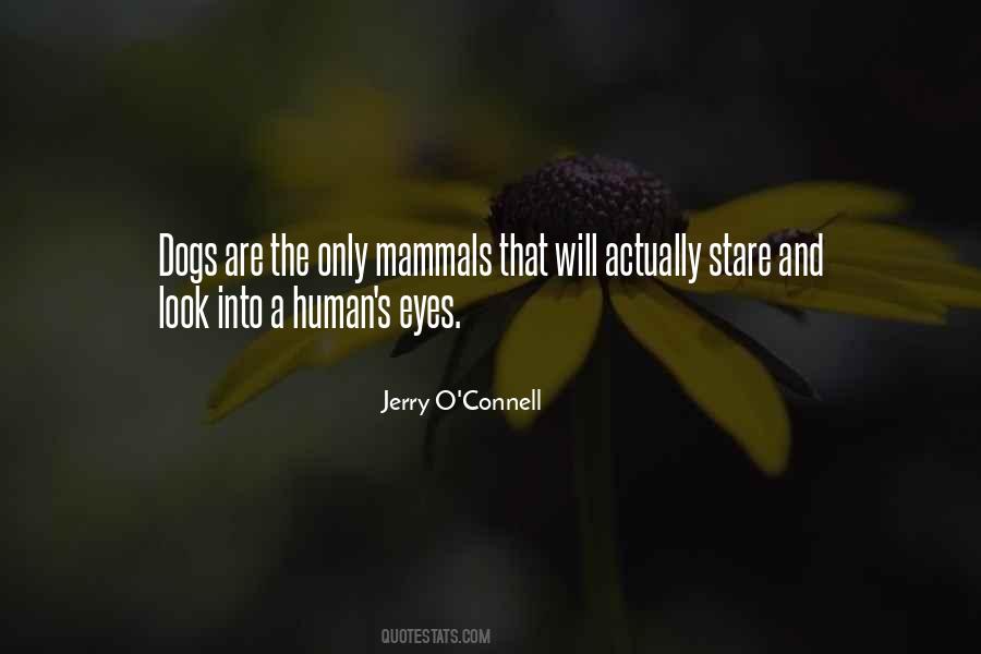 Jerry O'Connell Quotes #1244007