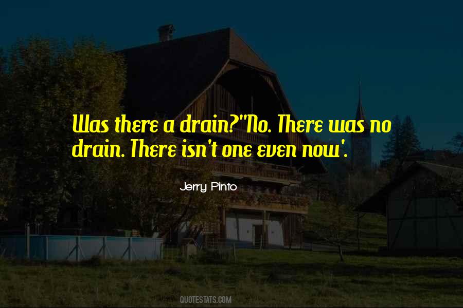 Jerry Pinto Quotes #1160192