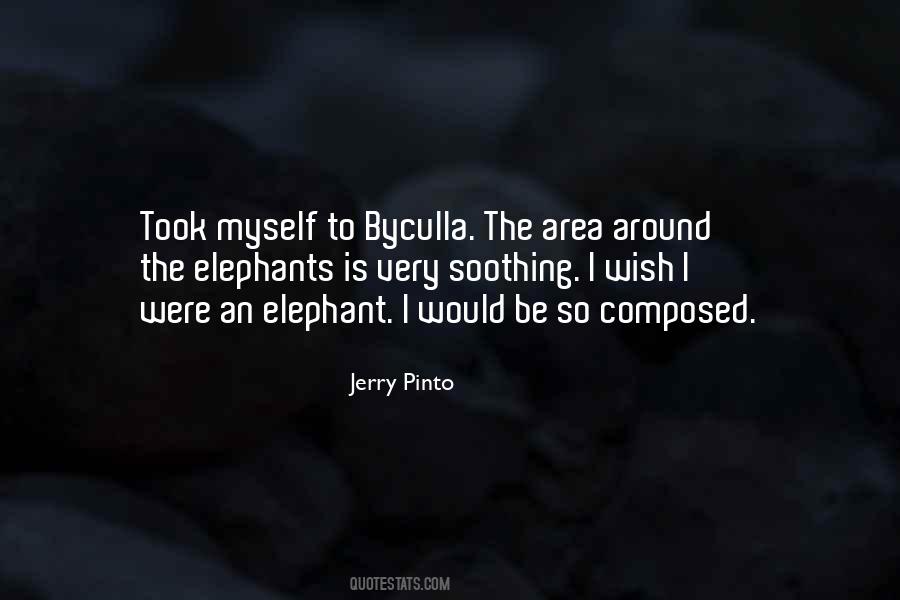 Jerry Pinto Quotes #203181