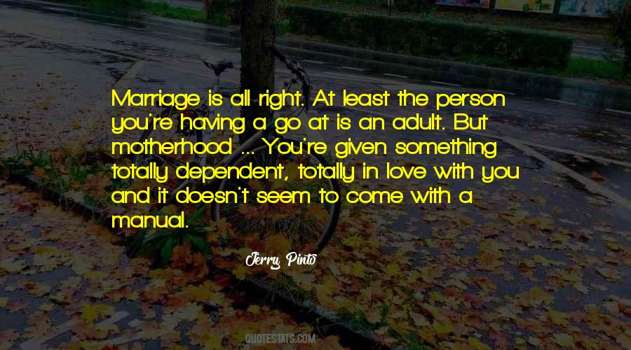 Jerry Pinto Quotes #961590