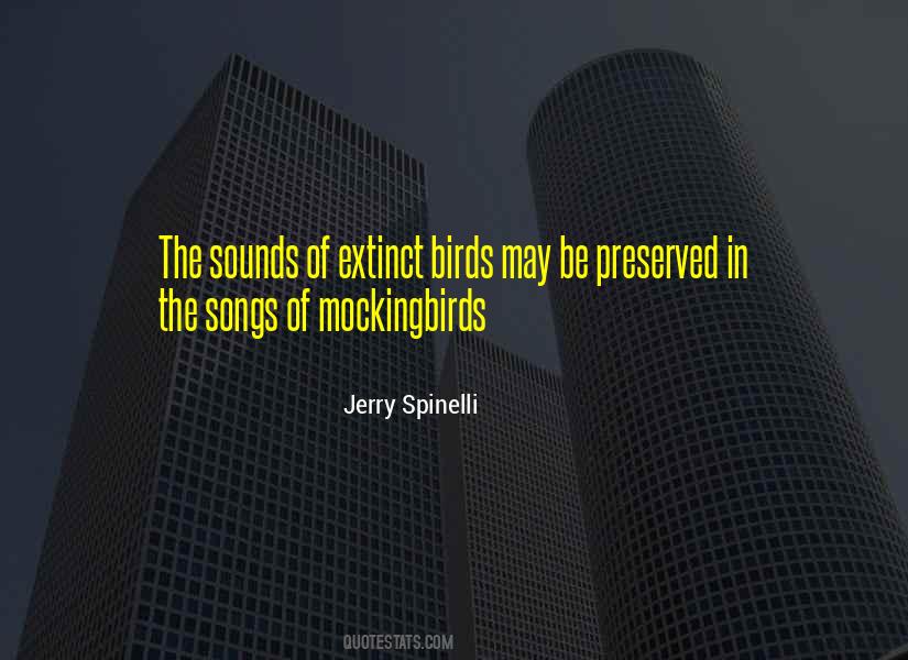 Jerry Spinelli Quotes #628409