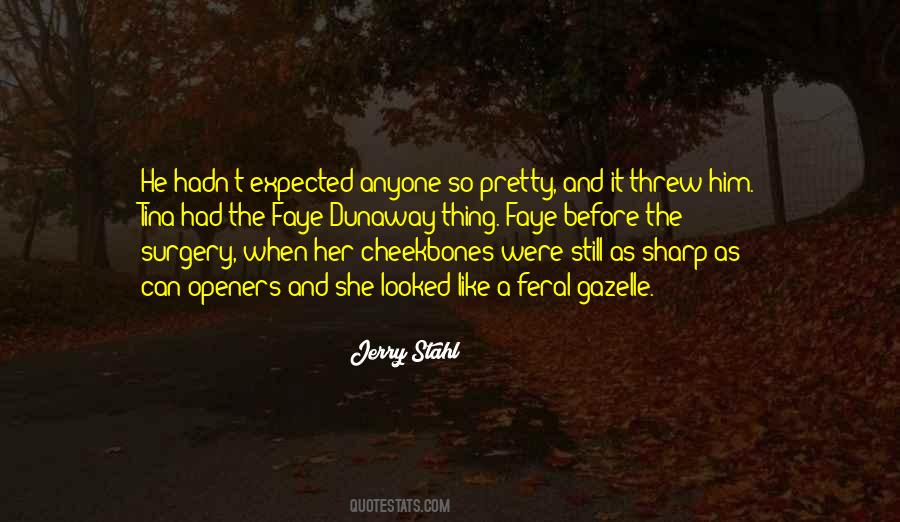 Jerry Stahl Quotes #844699