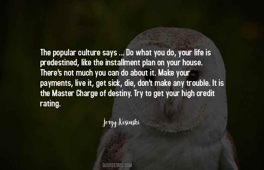 Jerzy Kosinski Quotes #373528