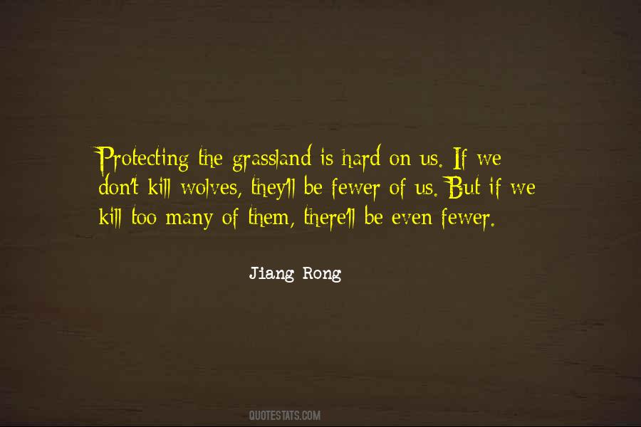 Jiang Rong Quotes #12616