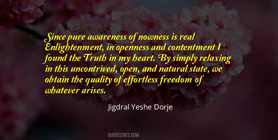 Jigdral Yeshe Dorje Quotes #1857185