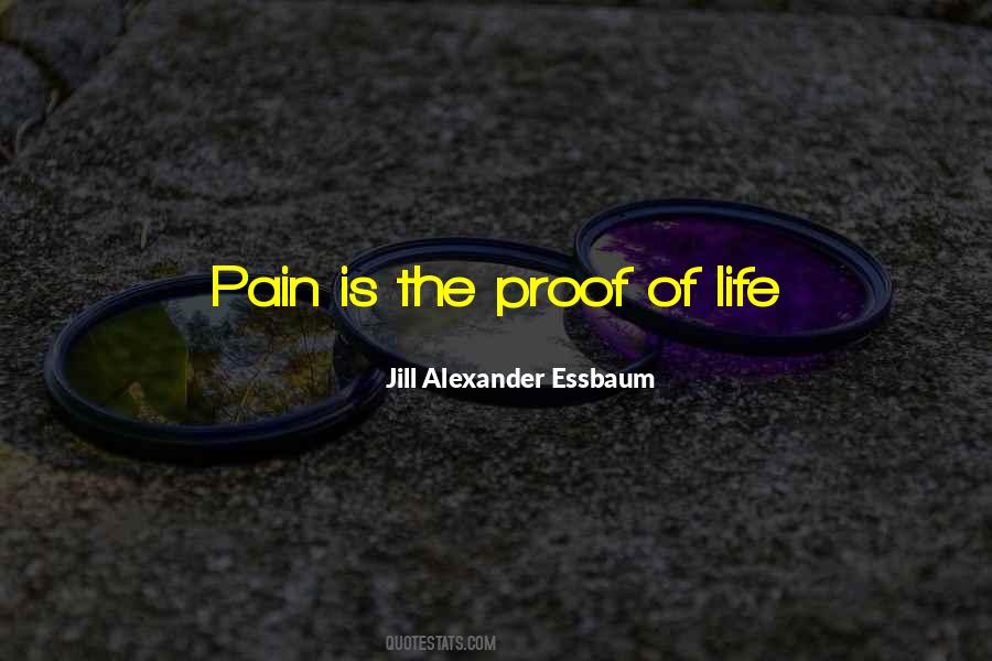 Jill Alexander Essbaum Quotes #1297024