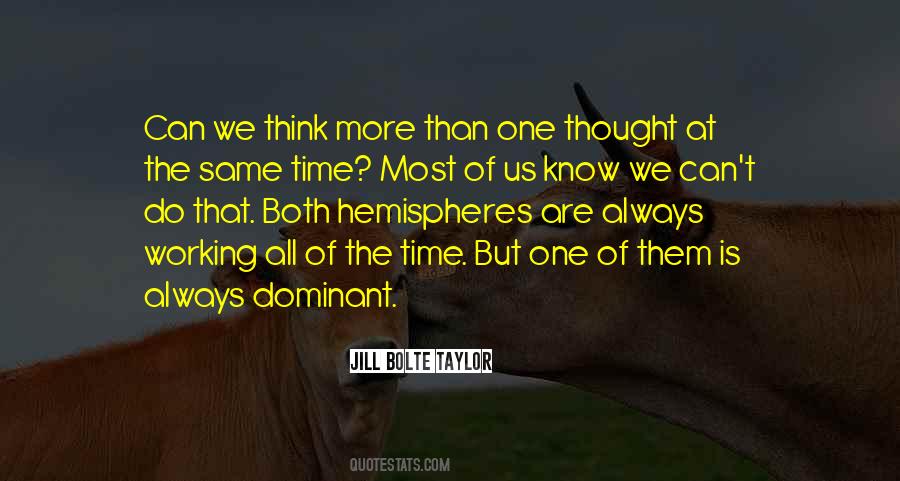 Jill Bolte Taylor Quotes #257534