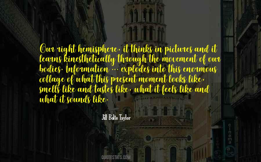 Jill Bolte Taylor Quotes #94670