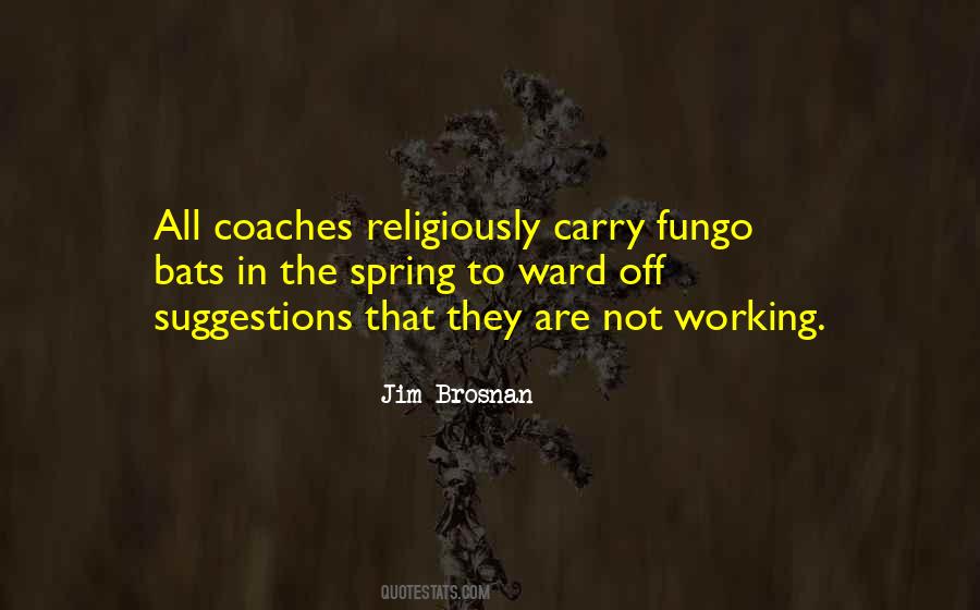 Jim Brosnan Quotes #80597 Jim Brosnan Quotes #80597