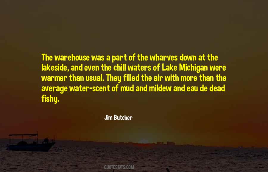 Jim Butcher Quotes #510442