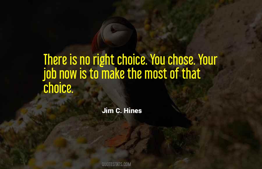 Jim C. Hines Quotes #223927