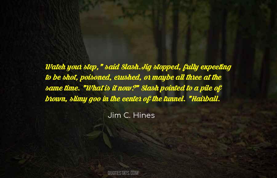 Jim C. Hines Quotes #922749