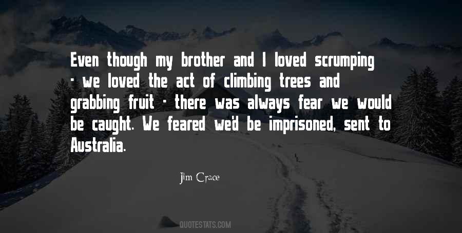 Jim Crace Quotes #527606