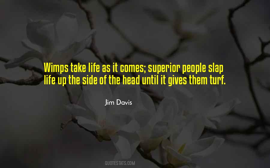 Jim Davis Quotes #1608514