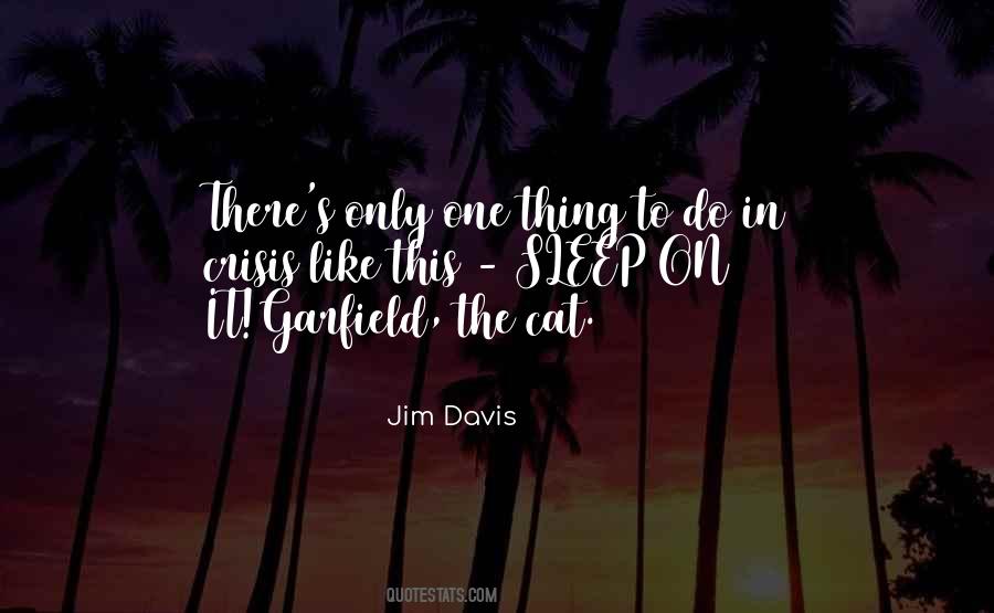 Jim Davis Quotes #638767