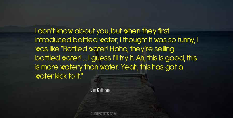 Jim Gaffigan Quotes #97847