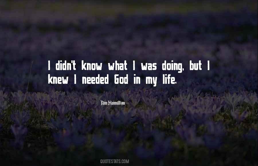 Jim Hamilton Quotes #301839
