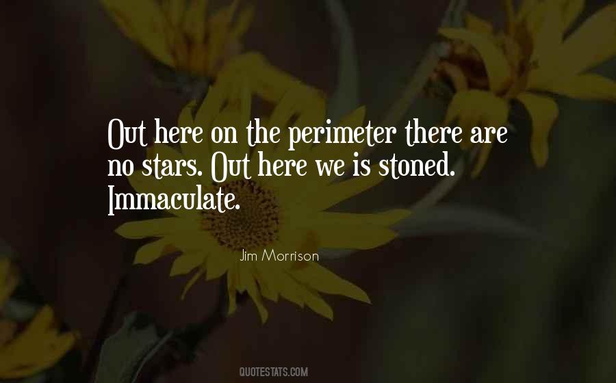 Jim Morrison Quotes #216583