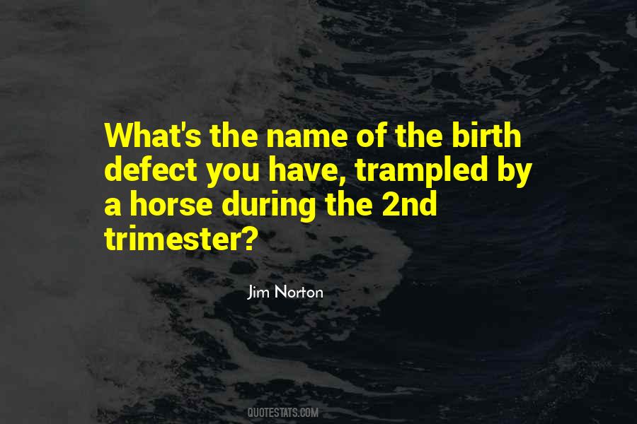 Jim Norton Quotes #1626068