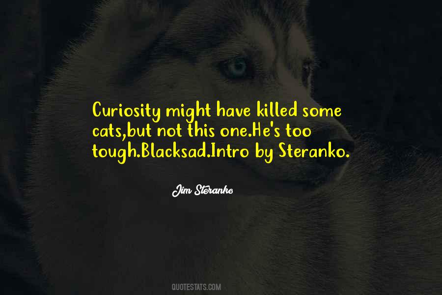 Jim Steranko Quotes #1273843