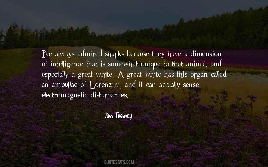 Jim Toomey Quotes #1467706