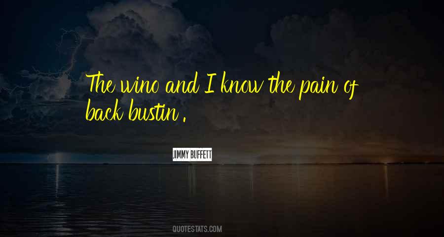 Jimmy Buffett Quotes #1187013