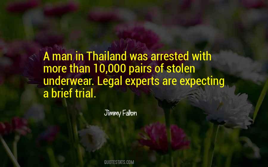 Jimmy Fallon Quotes #880058