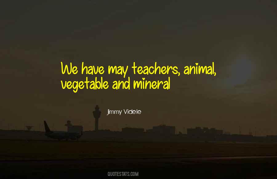 Jimmy Videle Quotes #902359 Jimmy Videle Quotes #902359