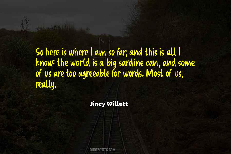 Jincy Willett Quotes #1437252