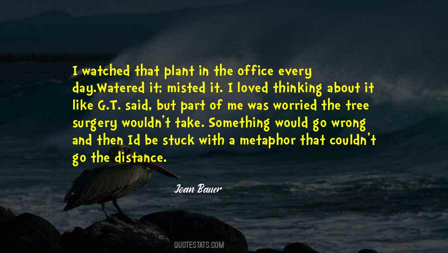 Joan Bauer Quotes #229789