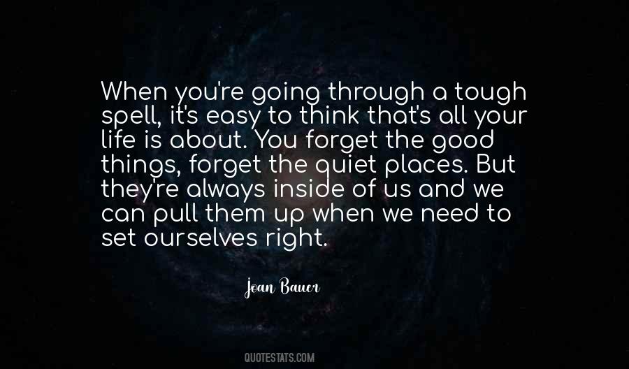 Joan Bauer Quotes #76306