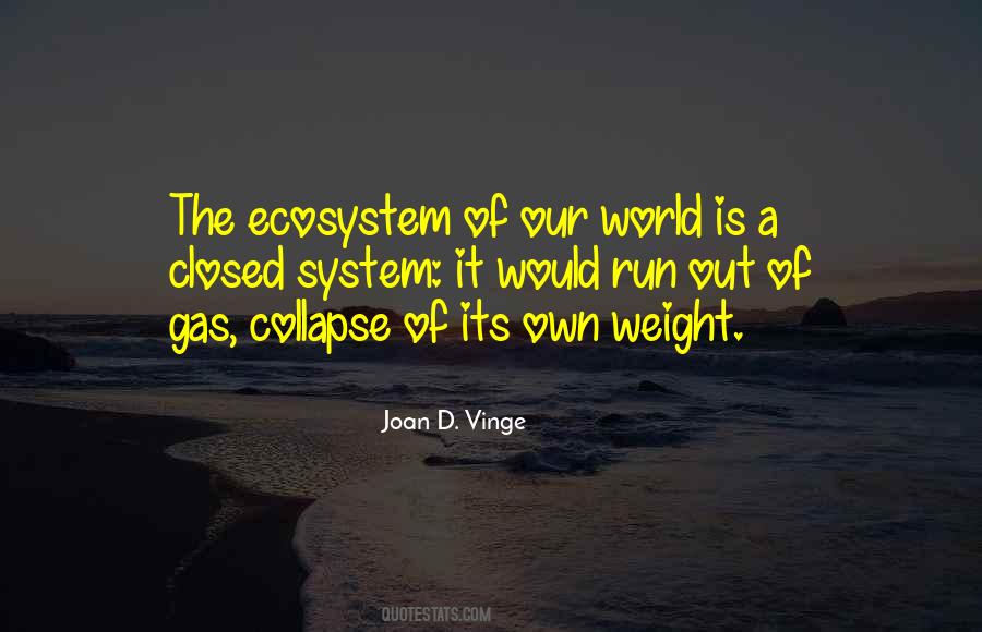 Joan D. Vinge Quotes #1398389