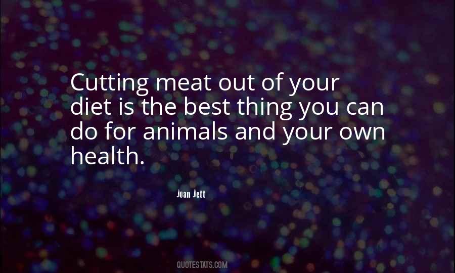 Joan Jett Quotes #507140