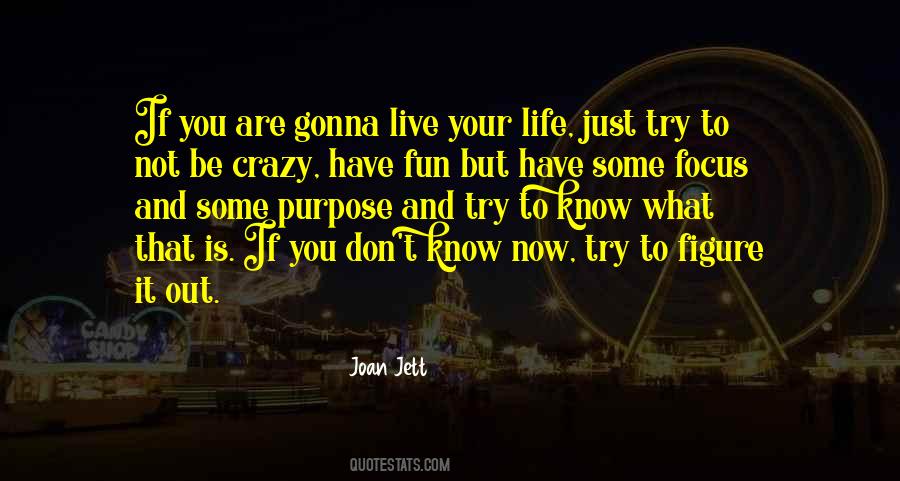 Joan Jett Quotes #744347