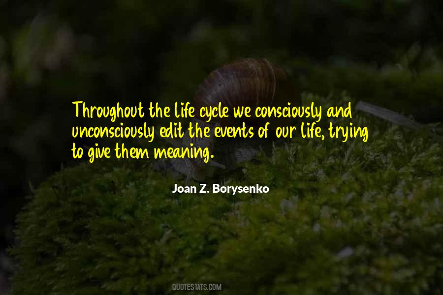 Joan Z. Borysenko Quotes #1677825