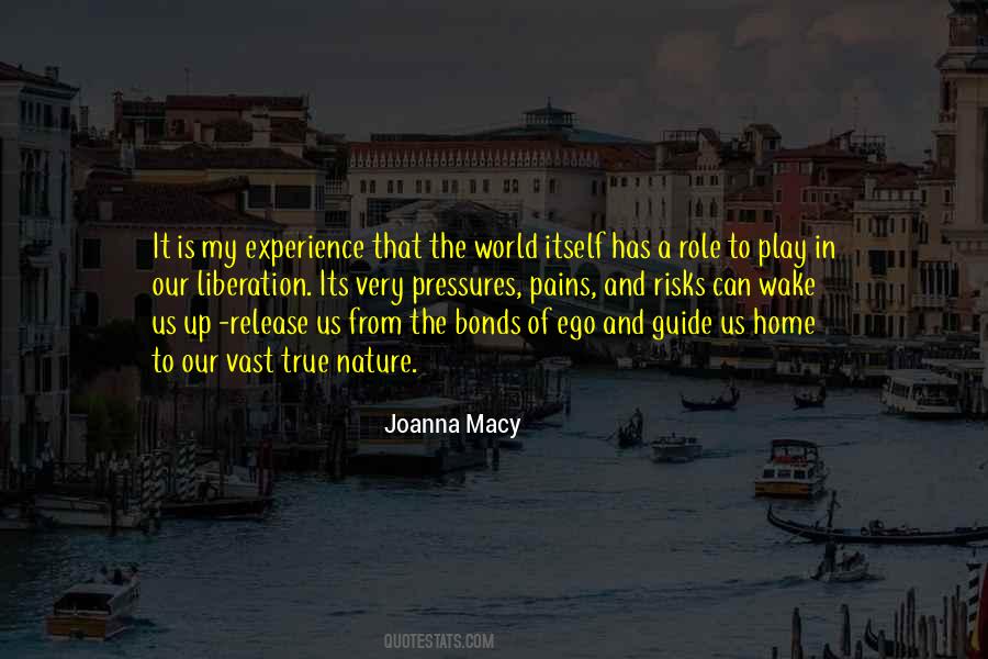 Joanna Macy Quotes #1433465