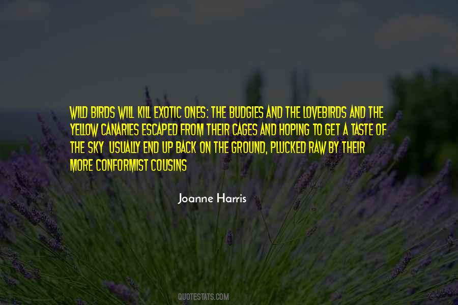 Joanne Harris Quotes #412838