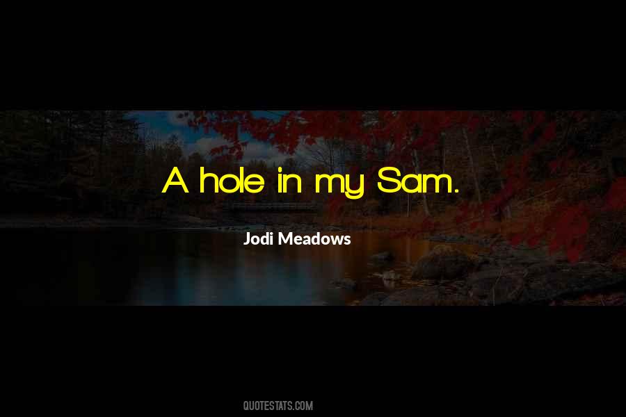 Jodi Meadows Quotes #463878