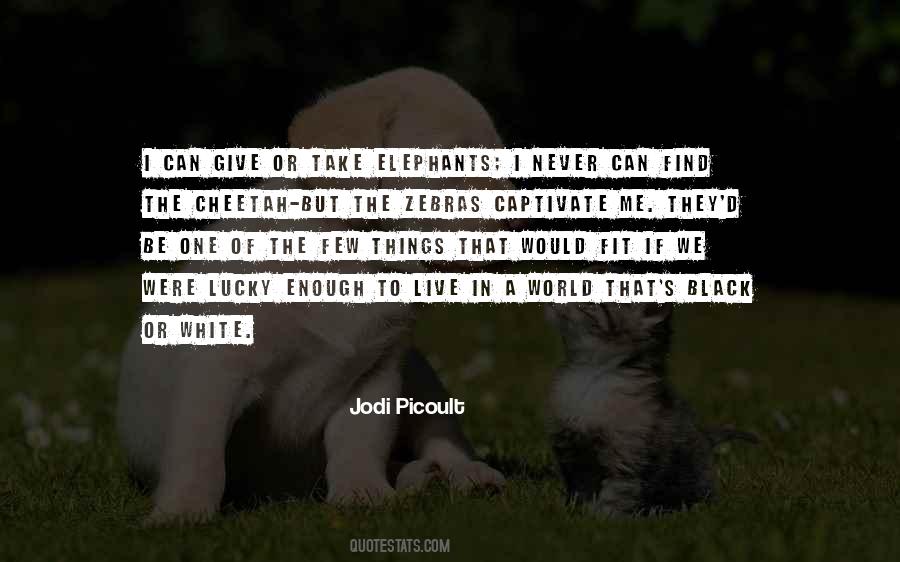 Jodi Picoult Quotes #217644